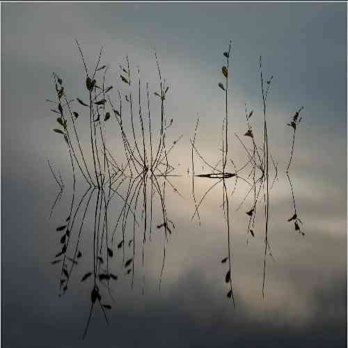 مصطفی ابراهیمی عشق ابدیم باش قلب منو اتیش زدی